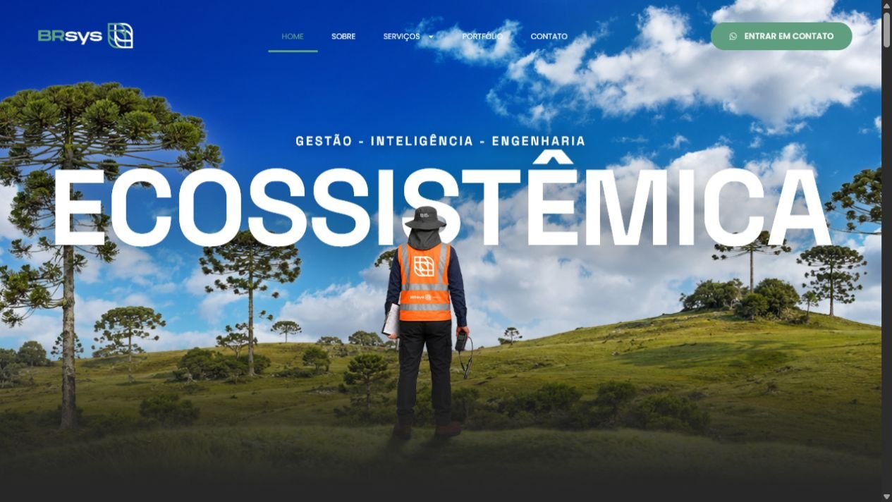 Website Brasiliensys